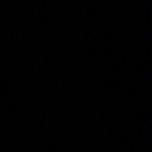 Meet your Posher, Darius